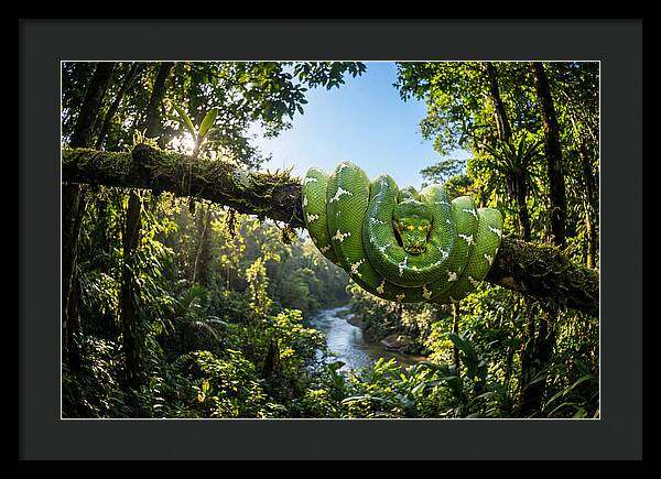 Emerald Serpent Embrace