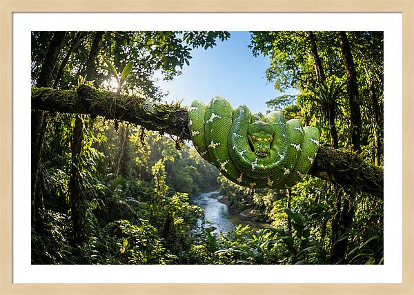 Emerald Serpent Embrace