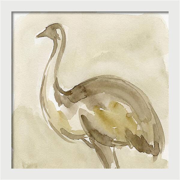 Emu In Watercolor Hues