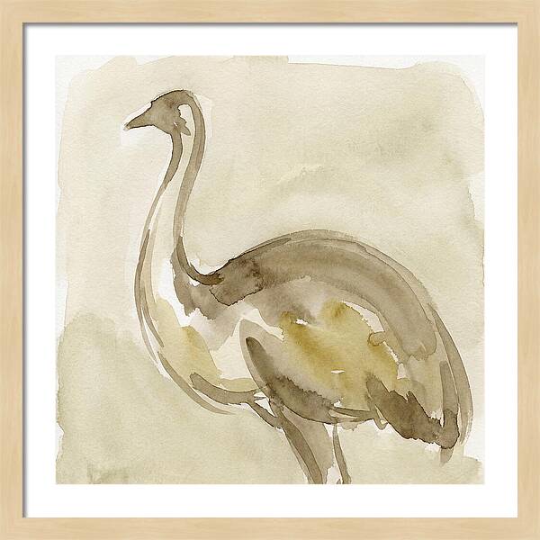 Emu In Watercolor Hues