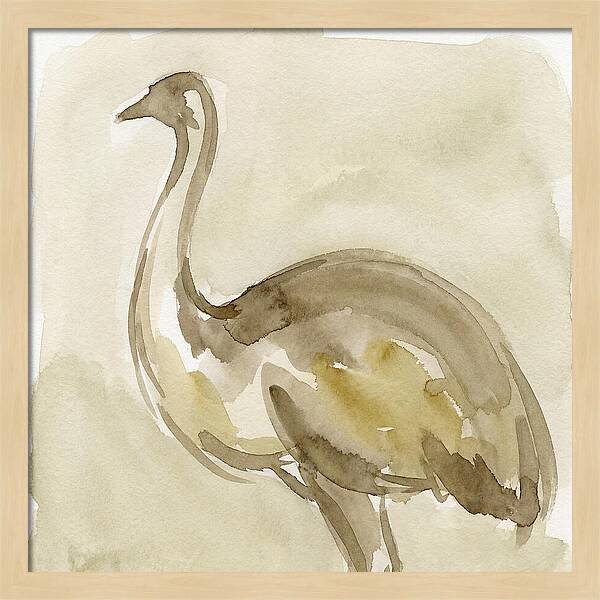 Emu In Watercolor Hues