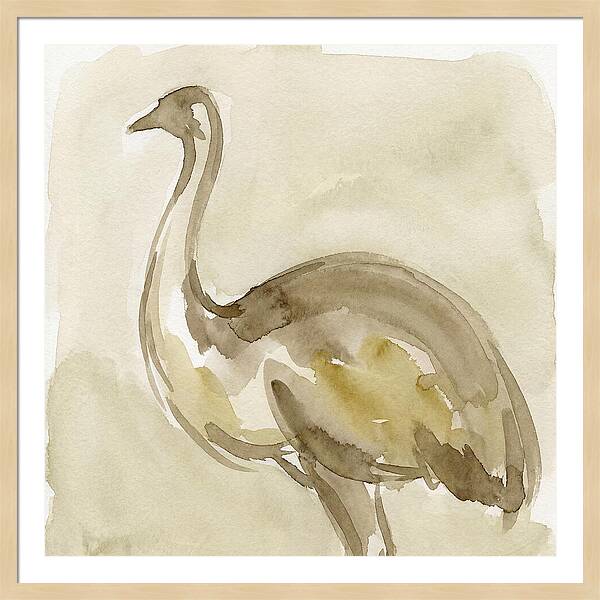 Emu In Watercolor Hues