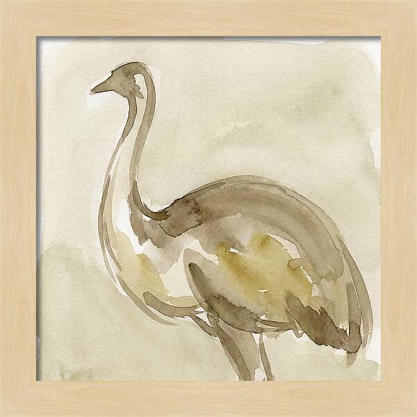 Emu In Watercolor Hues