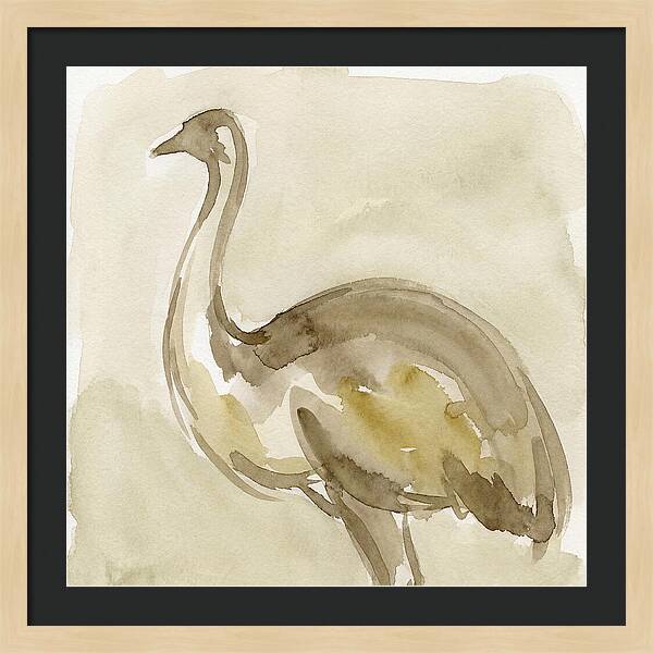 Emu In Watercolor Hues