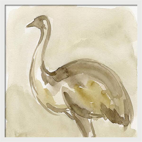 Emu In Watercolor Hues