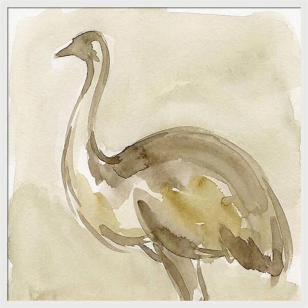 Emu In Watercolor Hues