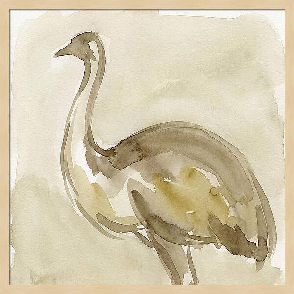 Emu In Watercolor Hues