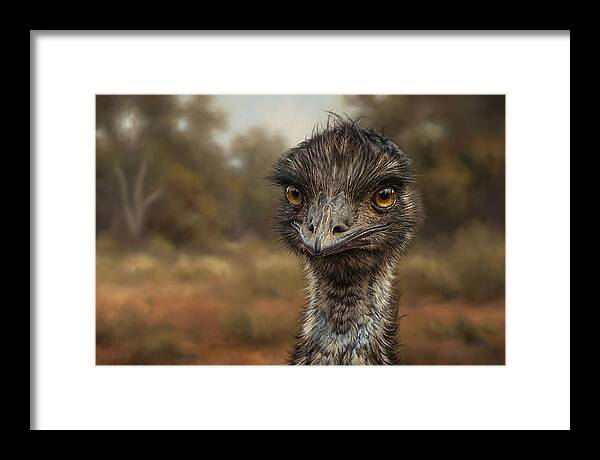 Emu Portrait In Nature