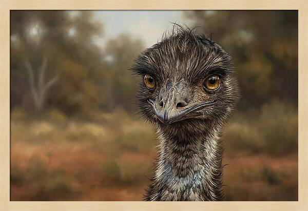 Emu Portrait In Nature