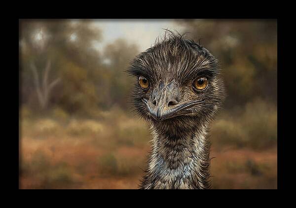 Emu Portrait In Nature