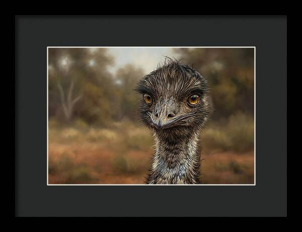 Emu Portrait In Nature