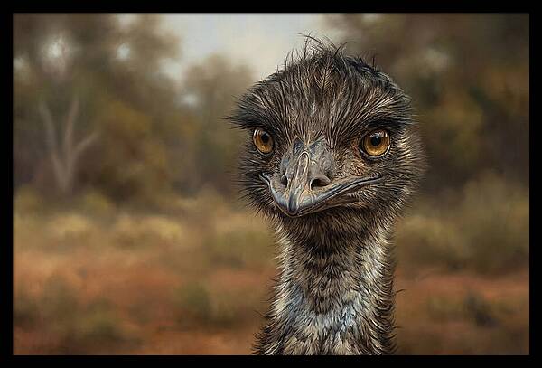 Emu Portrait In Nature
