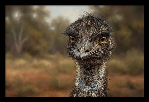 Emu Portrait In Nature