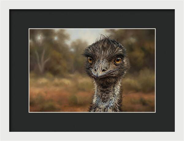 Emu Portrait In Nature