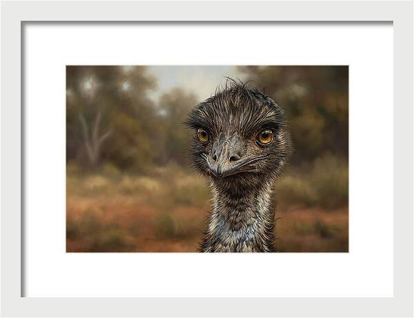 Emu Portrait In Nature