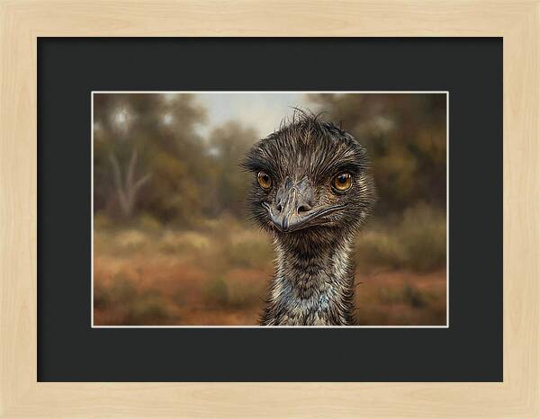 Emu Portrait In Nature