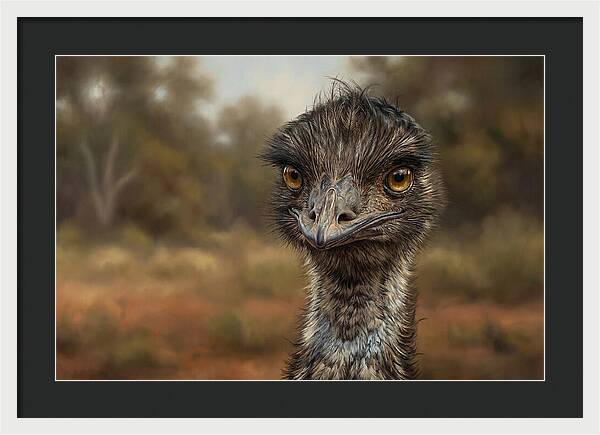 Emu Portrait In Nature
