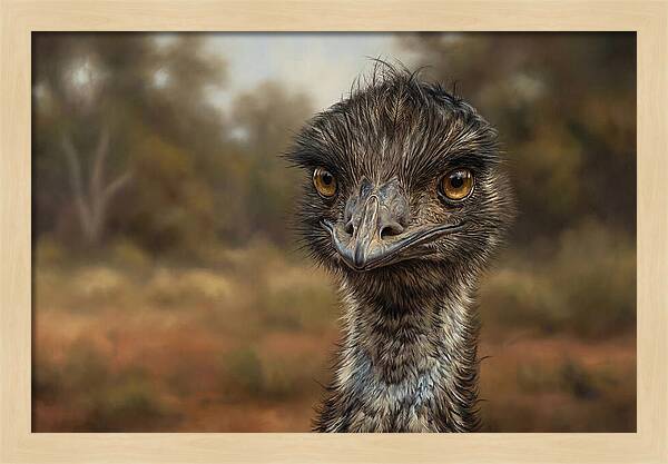 Emu Portrait In Nature