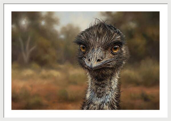 Emu Portrait In Nature