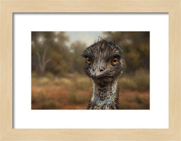 Emu Portrait In Nature
