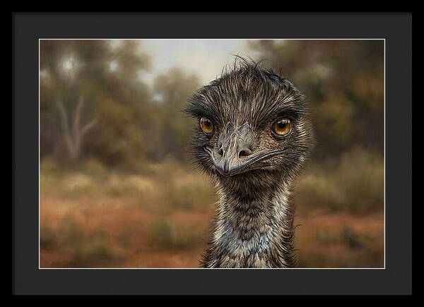 Emu Portrait In Nature