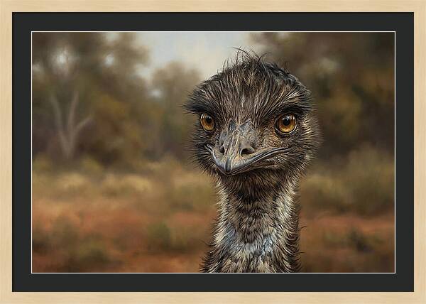 Emu Portrait In Nature