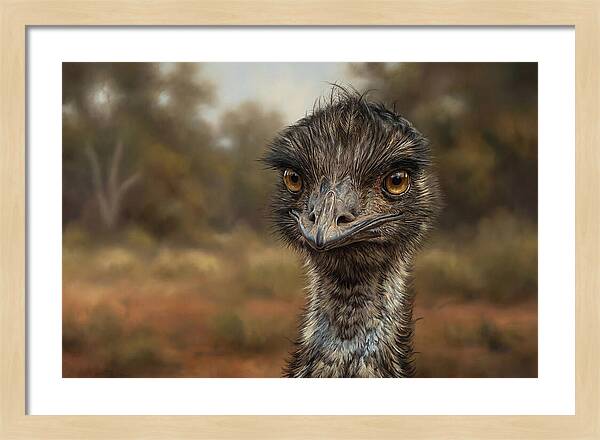 Emu Portrait In Nature