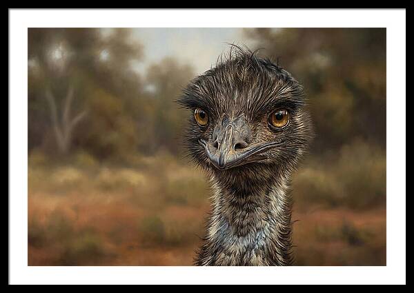 Emu Portrait In Nature