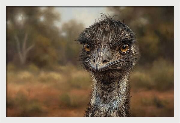 Emu Portrait In Nature