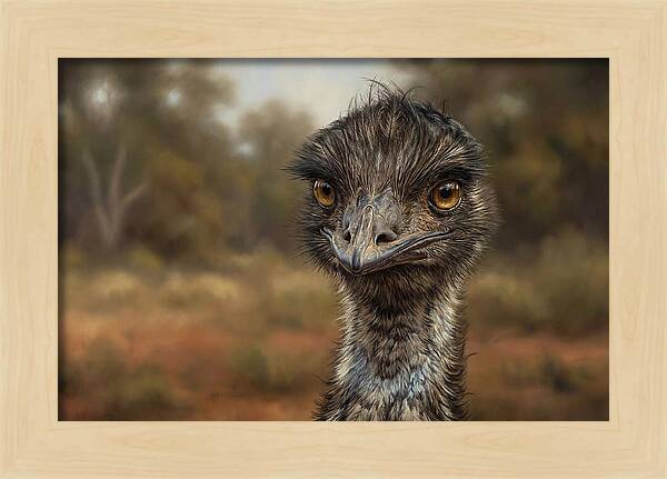Emu Portrait In Nature