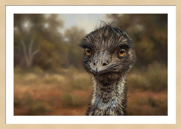 Emu Portrait In Nature