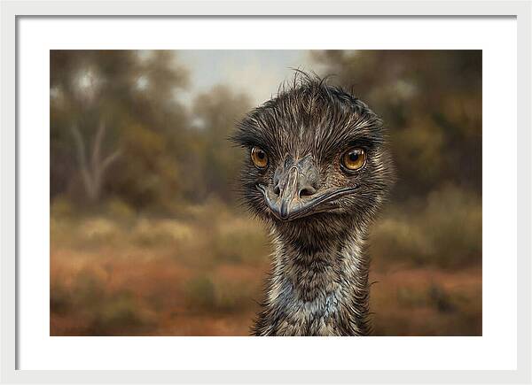 Emu Portrait In Nature
