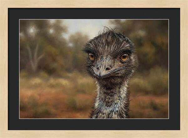 Emu Portrait In Nature