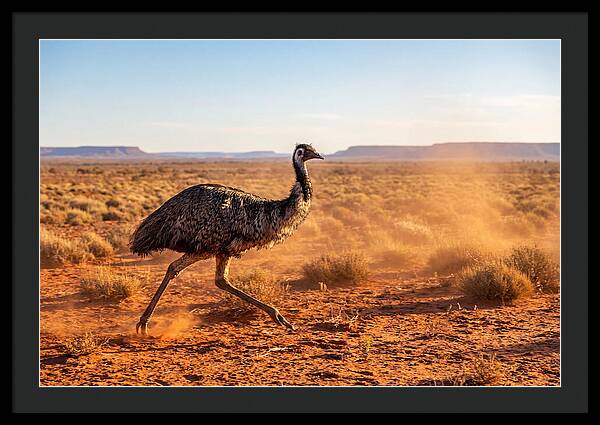 Emu Running Through The Outback