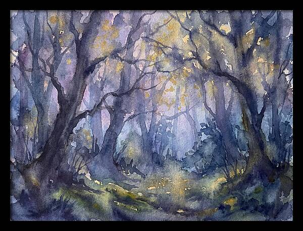 Enchanted Dusk In The Woods