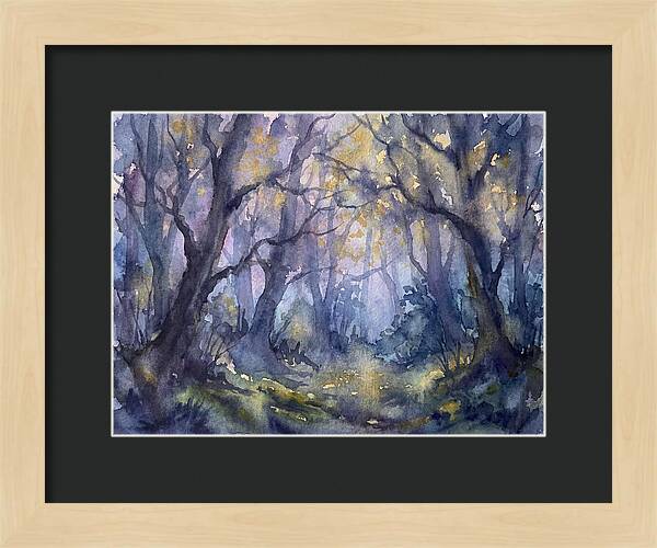 Enchanted Dusk In The Woods