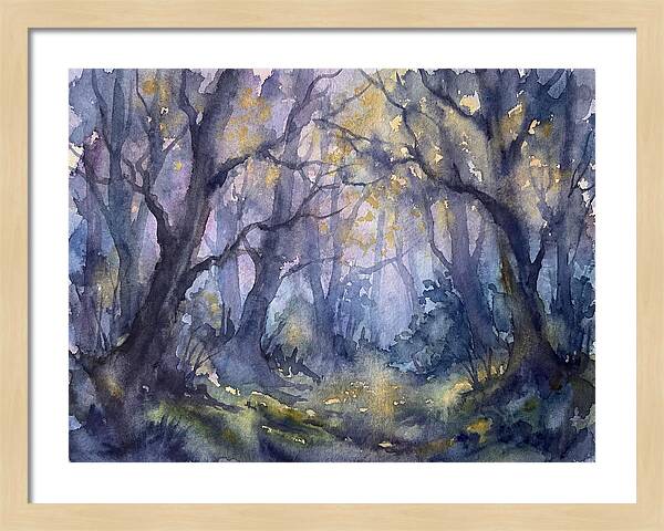 Enchanted Dusk In The Woods