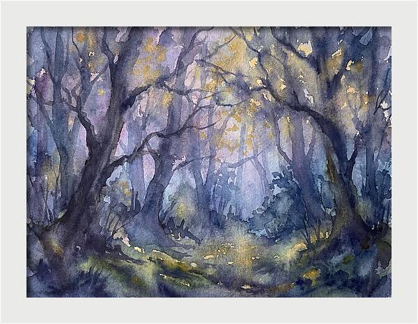 Enchanted Dusk In The Woods