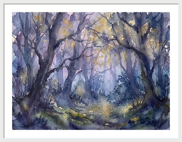 Enchanted Dusk In The Woods