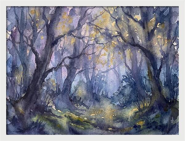 Enchanted Dusk In The Woods