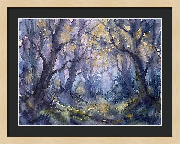 Enchanted Dusk In The Woods
