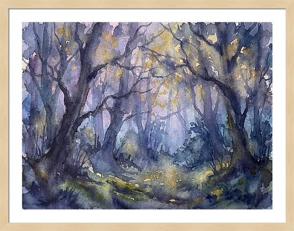 Enchanted Dusk In The Woods