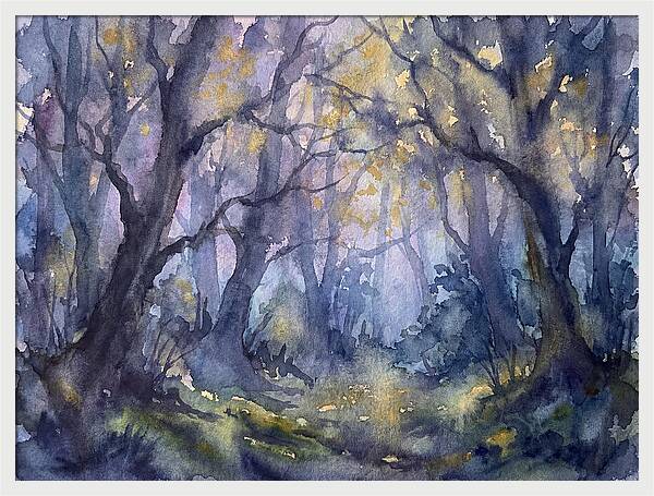 Enchanted Dusk In The Woods