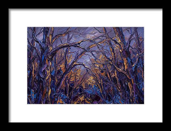 Enchanted Evening In The Woods