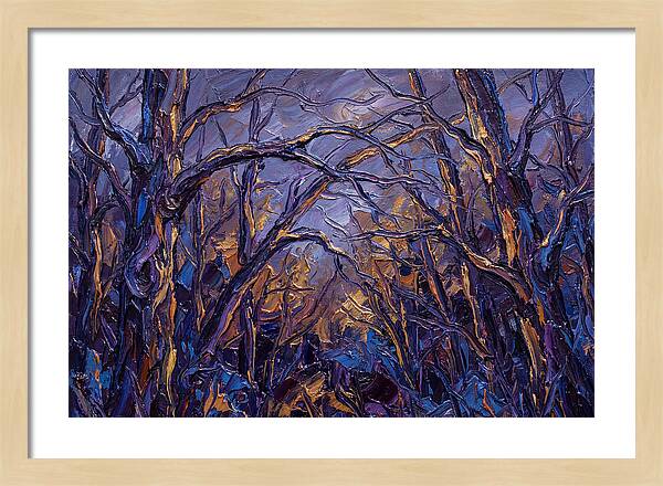 Enchanted Evening In The Woods