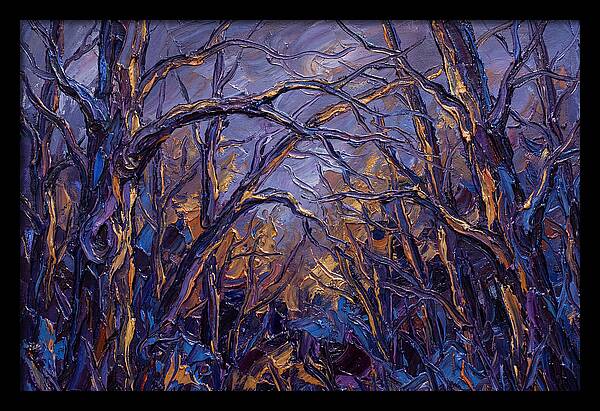 Enchanted Evening In The Woods