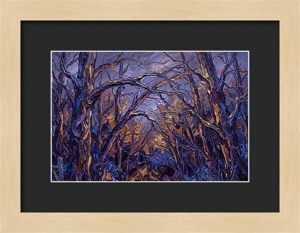 Enchanted Evening In The Woods