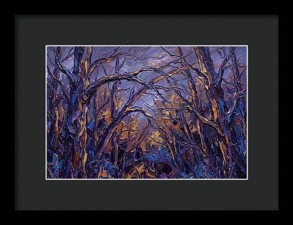Enchanted Evening In The Woods