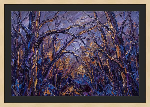 Enchanted Evening In The Woods