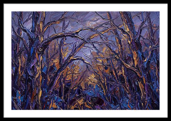 Enchanted Evening In The Woods